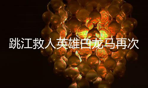 跳江救人英雄白龙马再次患病，社会各界的关切与力量的汇聚