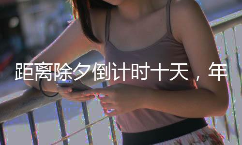 距离除夕倒计时十天，年味渐浓，期待满溢