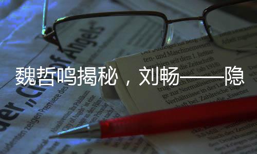 魏哲鸣揭秘，刘畅——隐秘而阴暗的前夫哥