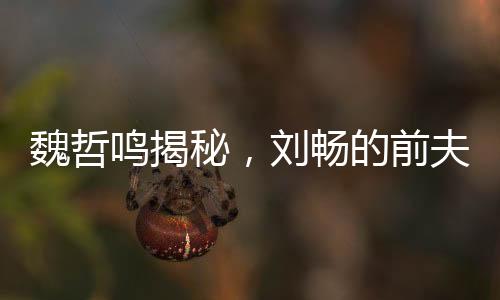 魏哲鸣揭秘，刘畅的前夫哥形象背后的故事——阴暗爬行之路