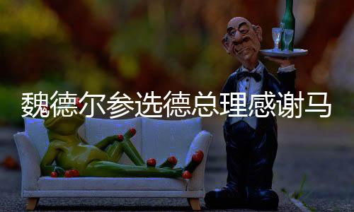 魏德尔参选德总理感谢马斯克，聚焦政治与商业交汇点