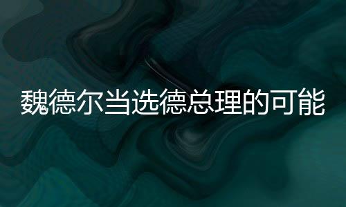 魏德尔当选德总理的可能性分析，前景展望与多元因素考量