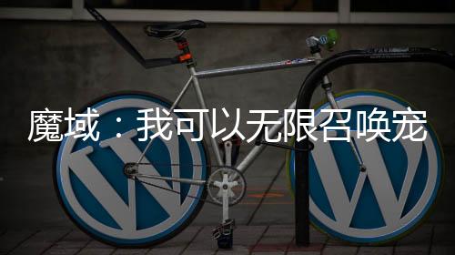 魔域：我可以无限召唤宠物