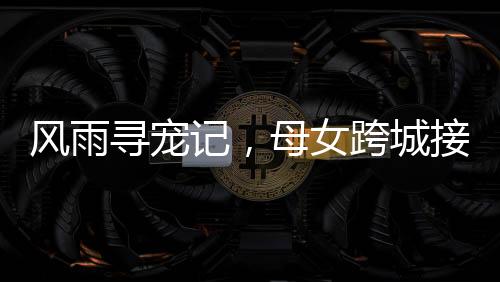 风雨寻宠记，母女跨城接回被亲戚抱走的家中小狗