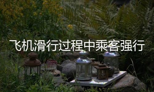 飞机滑行过程中乘客强行要求上厕所并发生辱骂砸门事件