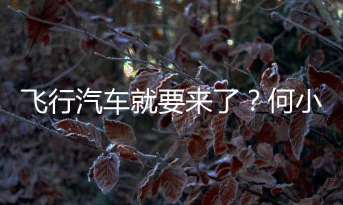 飞行汽车就要来了？何小鹏称“陆地航母”2026年量产