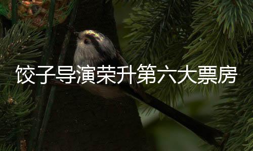 饺子导演荣升第六大票房巨匠
