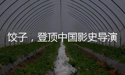 饺子，登顶中国影史导演票房榜的辉煌之旅