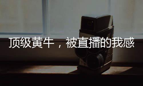 顶级黄牛，被直播的我感动全网！