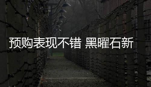 预购表现不错 黑曜石新作《宣誓》登入Steam畅销榜前十