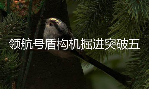 领航号盾构机掘进突破五千米大关，引领地下工程进入新时代