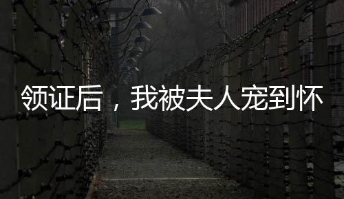 领证后，我被夫人宠到怀疑人生