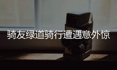 骑友绿道骑行遭遇意外惊险，风筝线割伤险象环生