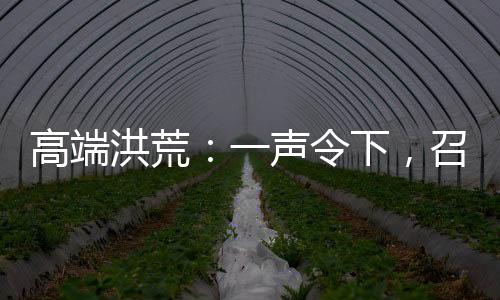 高端洪荒：一声令下，召回所有穿越者！