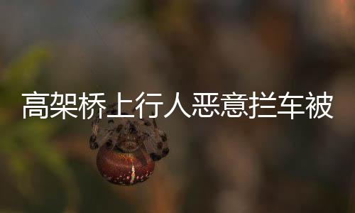 高架桥上行人恶意拦车被交警制裁事件纪实