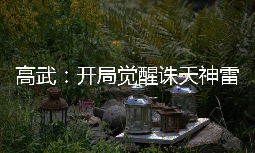 高武：开局觉醒诛天神雷