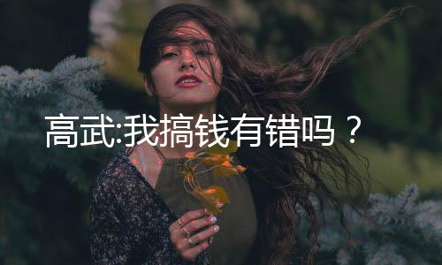 高武:我搞钱有错吗？