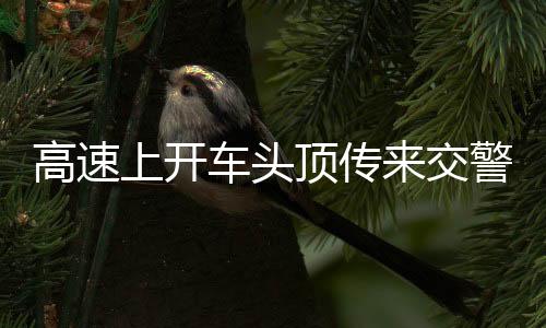 高速上开车头顶传来交警碎碎念——安全与法规的双重提醒