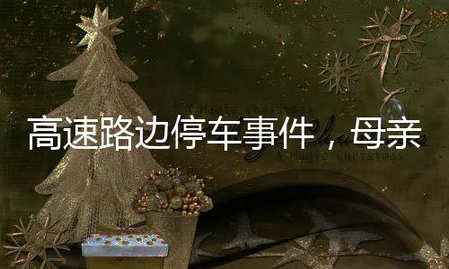 高速路边停车事件，母亲打孩子引发社会关注