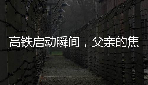 高铁启动瞬间，父亲的焦急与儿子的疏忽——一次未上车的启示