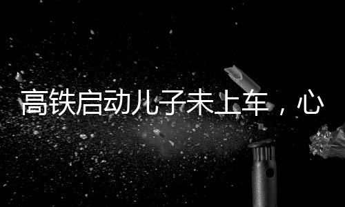 高铁启动儿子未上车，心系家庭的匆忙与焦虑交织之际