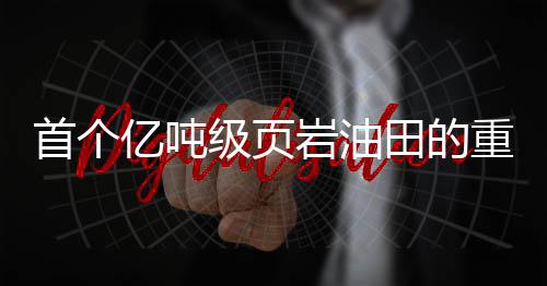 首个亿吨级页岩油田的重大发现，开启能源新篇章