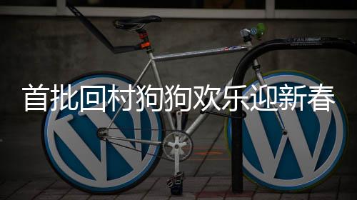 首批回村狗狗欢乐迎新春，玩鞭炮成为乡村新风尚