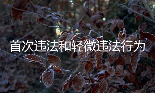 首次违法和轻微违法行为不予处罚，十二种情形详解