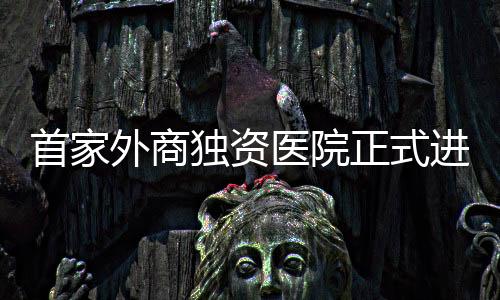 首家外商独资医院正式进驻，开启医疗领域新篇章