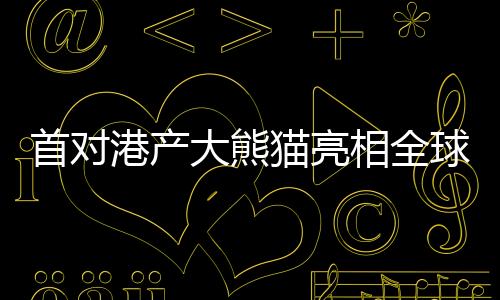 首对港产大熊猫亮相全球瞩目，共庆美好瞬间