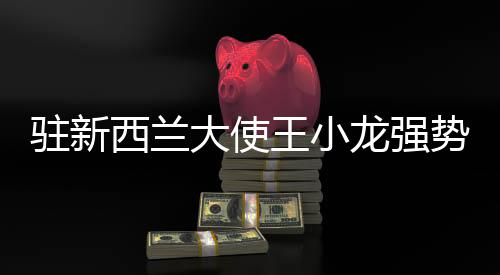 驻新西兰大使王小龙强势回怼外国记者，传递真实声音，捍卫国家利益