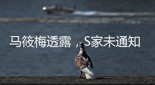 马筱梅透露，S家未通知孩子们参加大S葬礼