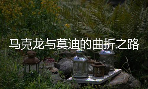 马克龙与莫迪的曲折之路，终见万斯之旅纪实