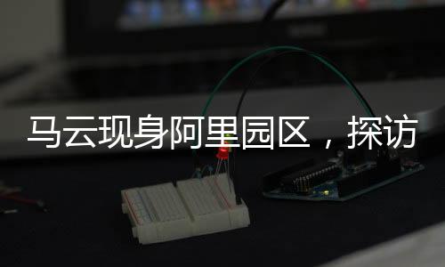 马云现身阿里园区，探访数字生态，共筑未来科技梦