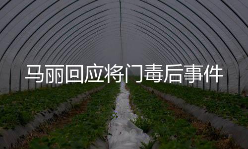 马丽回应将门毒后事件