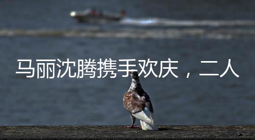马丽沈腾携手欢庆，二人展现真实豪迈的酒桌风采