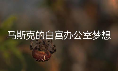 马斯克的白宫办公室梦想破灭，被拒之谜的背后探讨