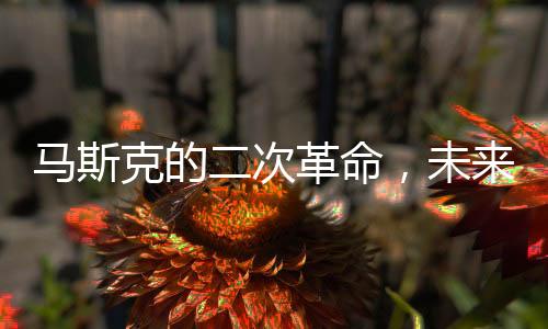马斯克的二次革命，未来之路能否成功？