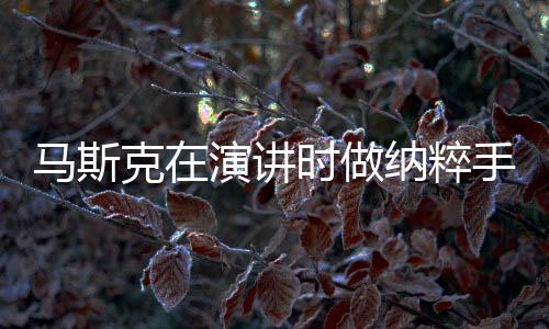 马斯克在演讲时做纳粹手势引发争议，积极回应引关注