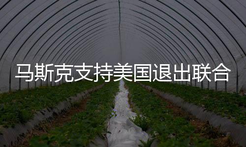马斯克支持美国退出联合国和北约，全球格局的新思考？