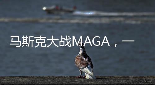 马斯克大战MAGA，一场科技巨头与社会现象的碰撞