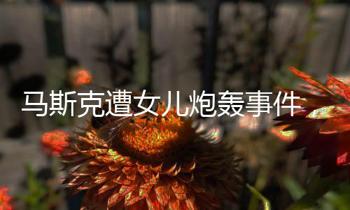马斯克遭女儿炮轰事件，数字一二三四背后的深度解析