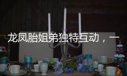 龙凤胎姐弟独特互动，一见面便掀起欢乐‘打闹’战