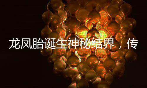 龙凤胎诞生神秘结界，传说与现实交汇的奇迹
