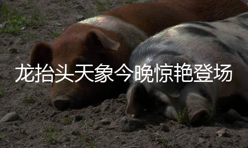 龙抬头天象今晚惊艳登场，壮丽星辰昭示美好寓意
