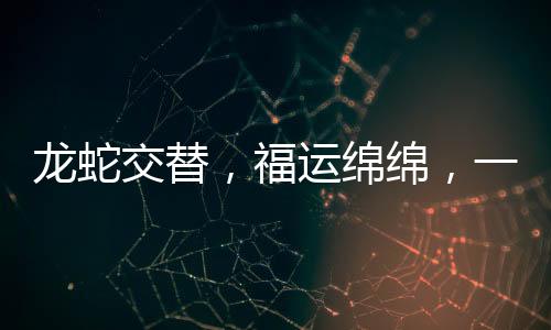 龙蛇交替，福运绵绵，一种深度的智慧启示与幸福追寻的寓意