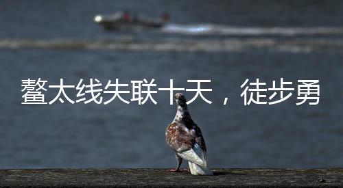 鳌太线失联十天，徒步勇士奇迹生还