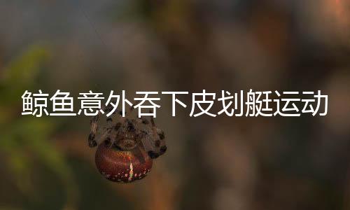 鲸鱼意外吞下皮划艇运动员又奇迹吐出，海洋巨无霸的神奇救援与惊魂时刻