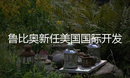 鲁比奥新任美国国际开发署代理署长，展望全球发展与合作的新篇章