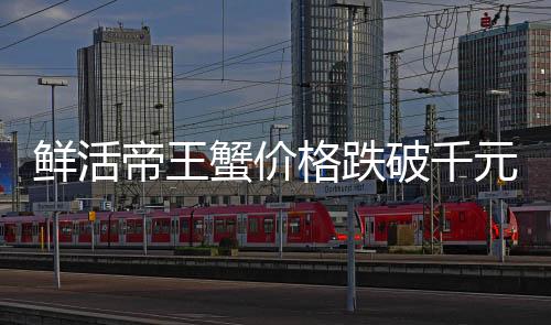 鲜活帝王蟹价格跌破千元，消费者狂欢季来临